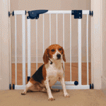 beaglelage beaglelage