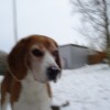 Vinter 08/09