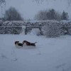 Vinter 09/10