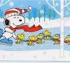 snoopy3 snoopy3