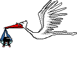 storkboy