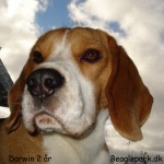 Darwin 2 år – 2. april 2012