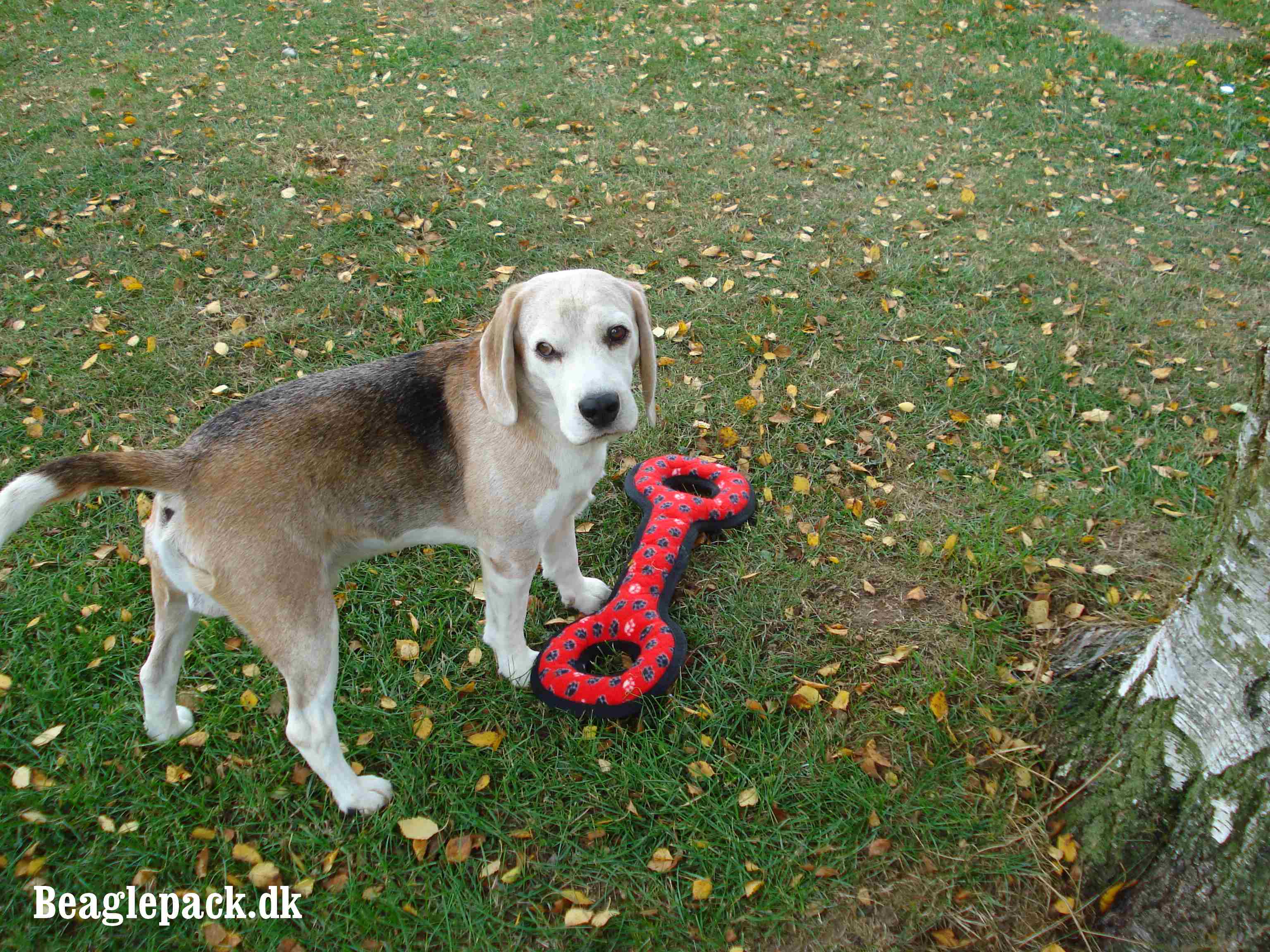 Charlie sep. 2013