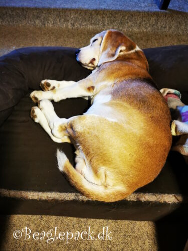 Onkel Oscars sofa