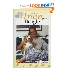 how-to-train-your-beagle_