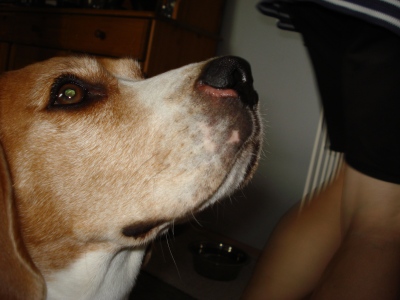 charlienc3a6s2 charlienc3a6s2