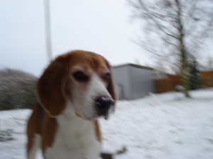 charliesne