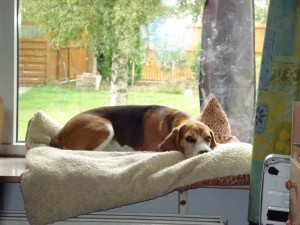 DSC00463