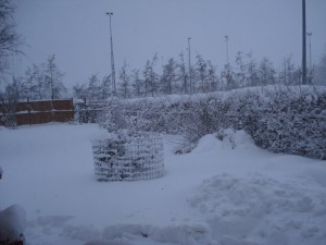 DSC00850