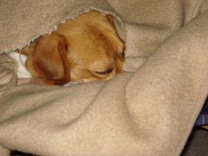 DSC00836