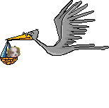 animated-stork-1
