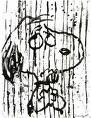 snoopyrain