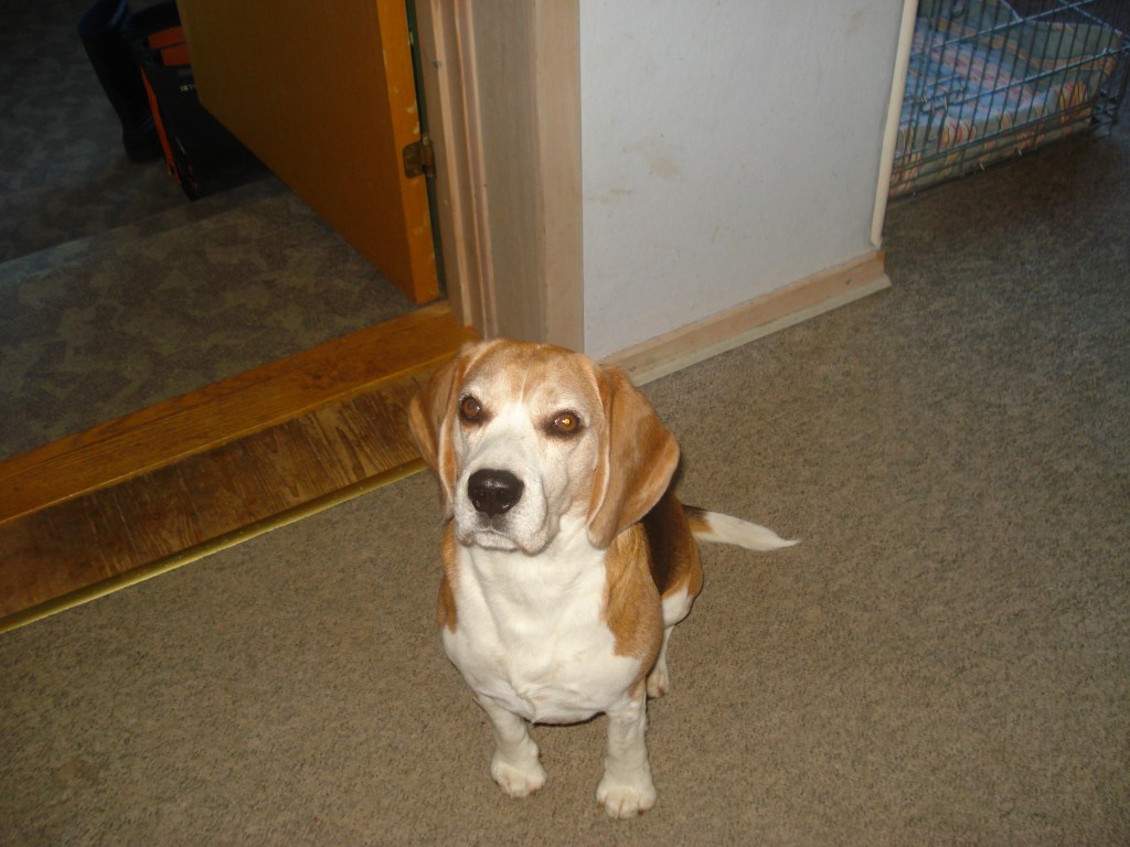 Charlie