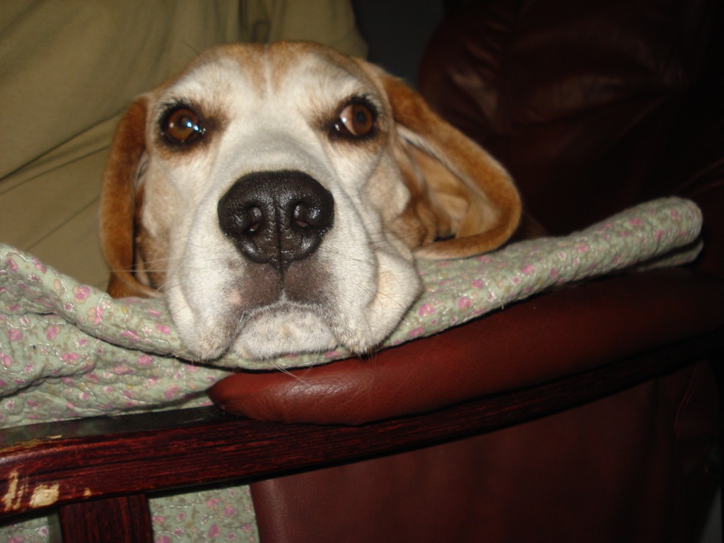 Charlie