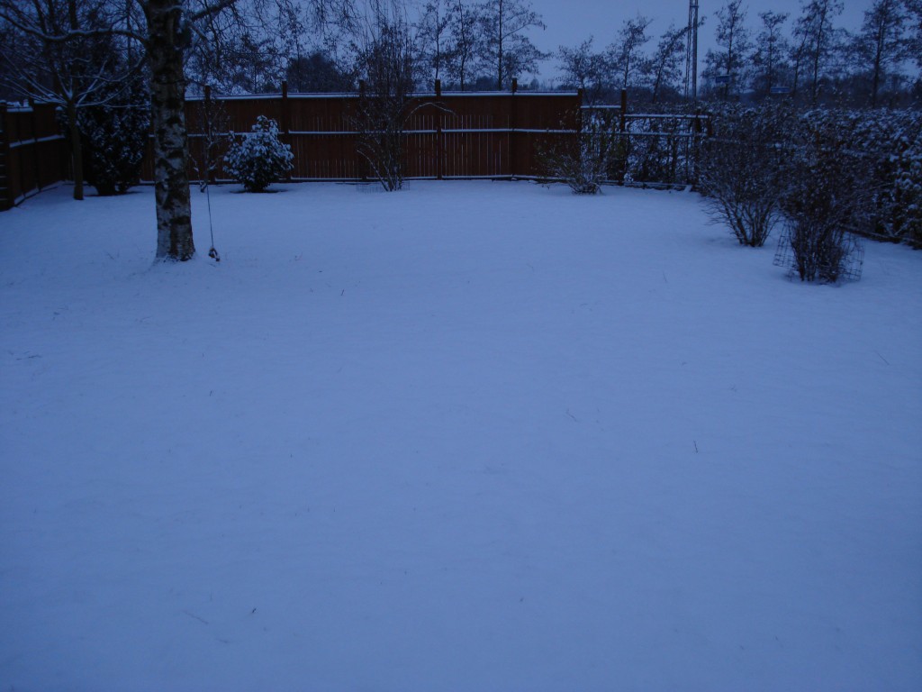 vinter haven 2010