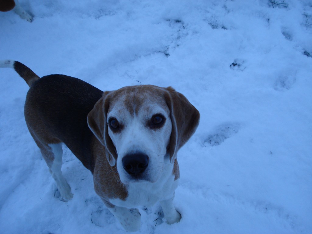 Charlie