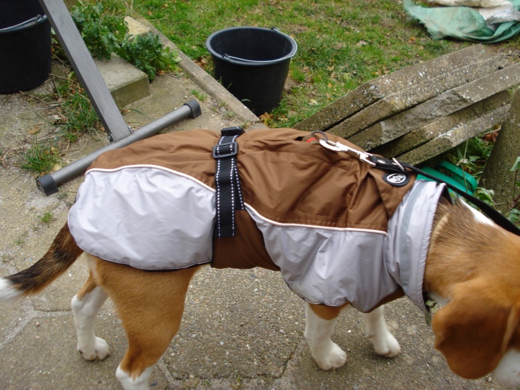 darwinknaptilfreds