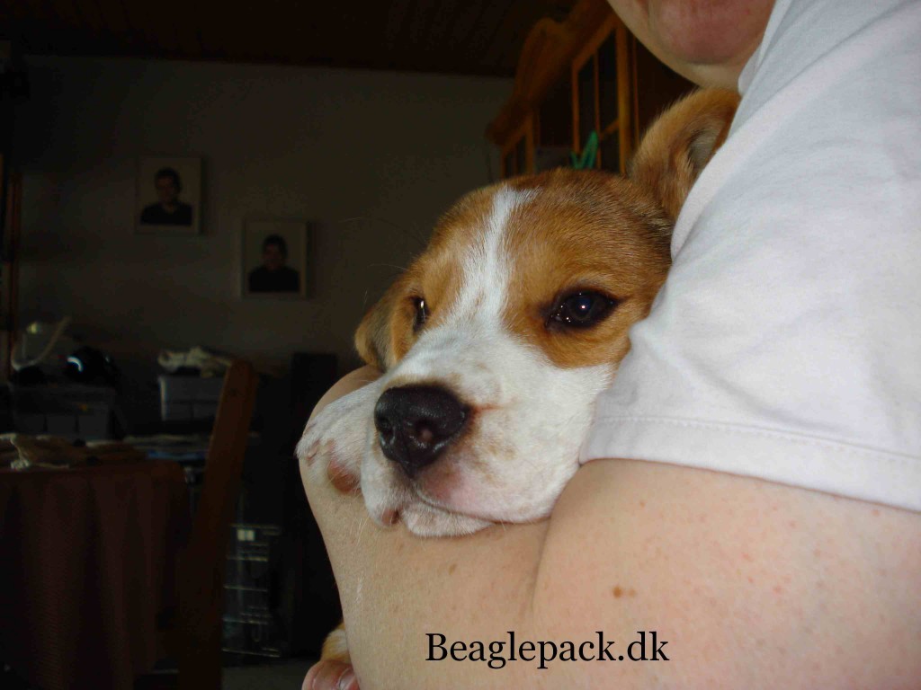 9 uger i mors arme