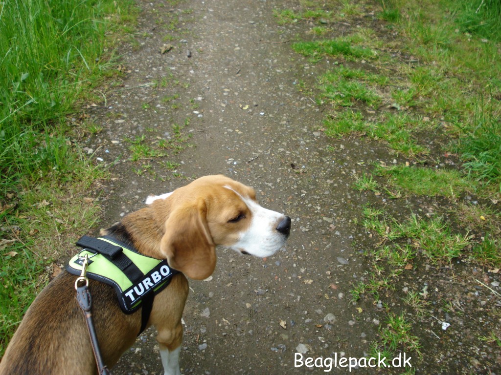 "Juhuu område here I come"