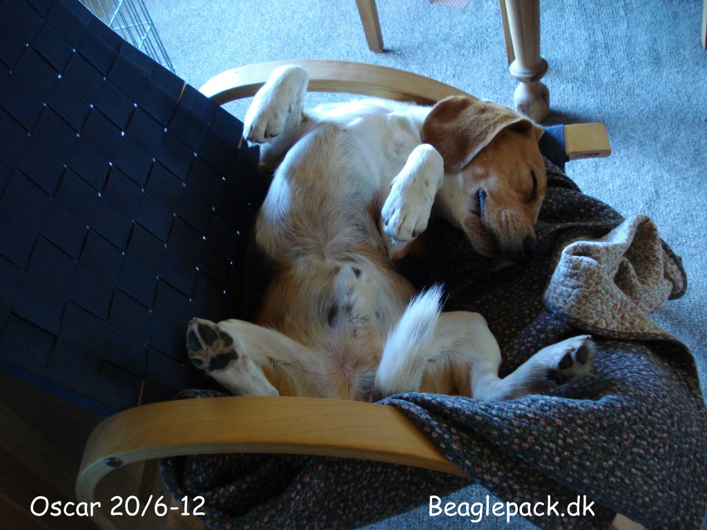 Oscar 20/6-12 dagen efter operationen