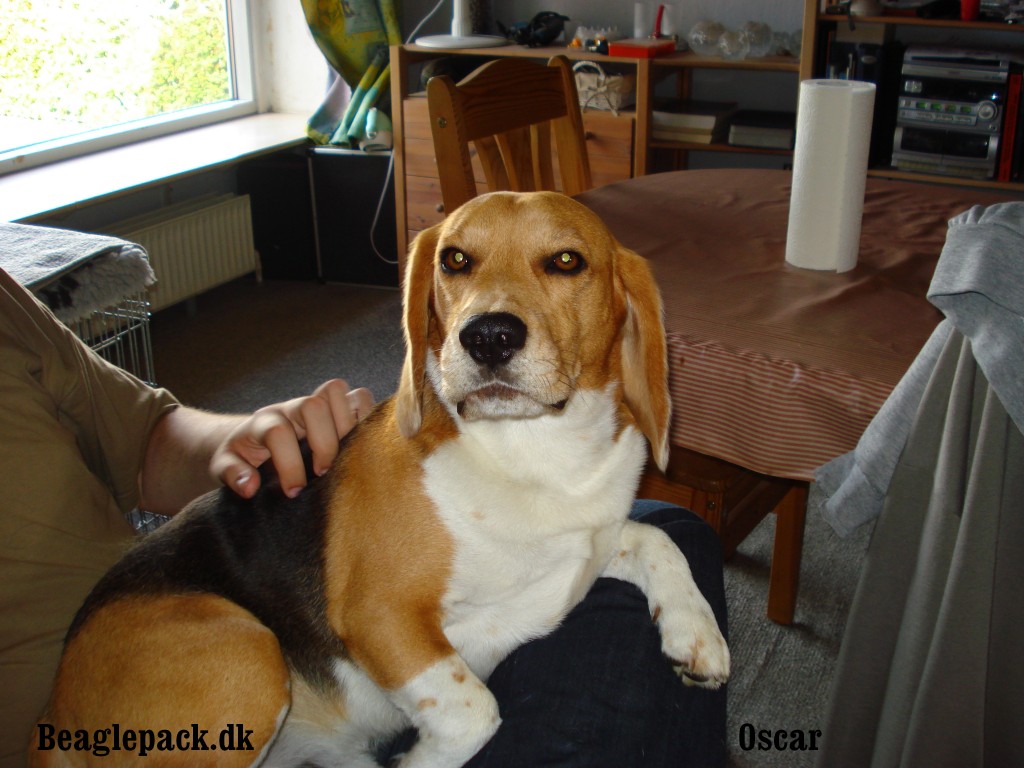 Oscar 5 år