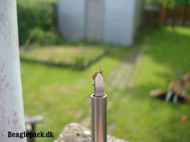 Og her "herligheden" fra en anden vinkel