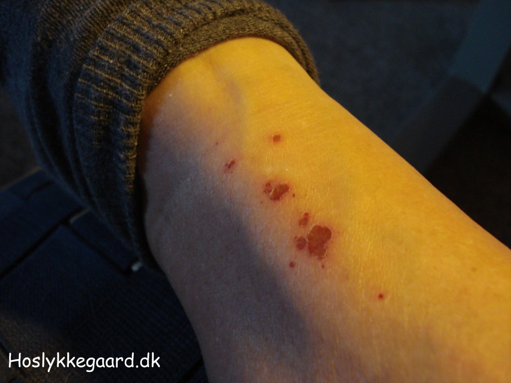 Mit ben 24/11-13