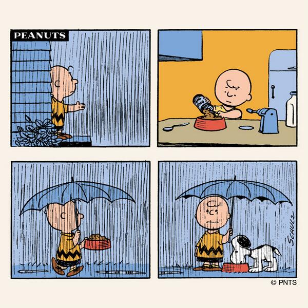rainy day