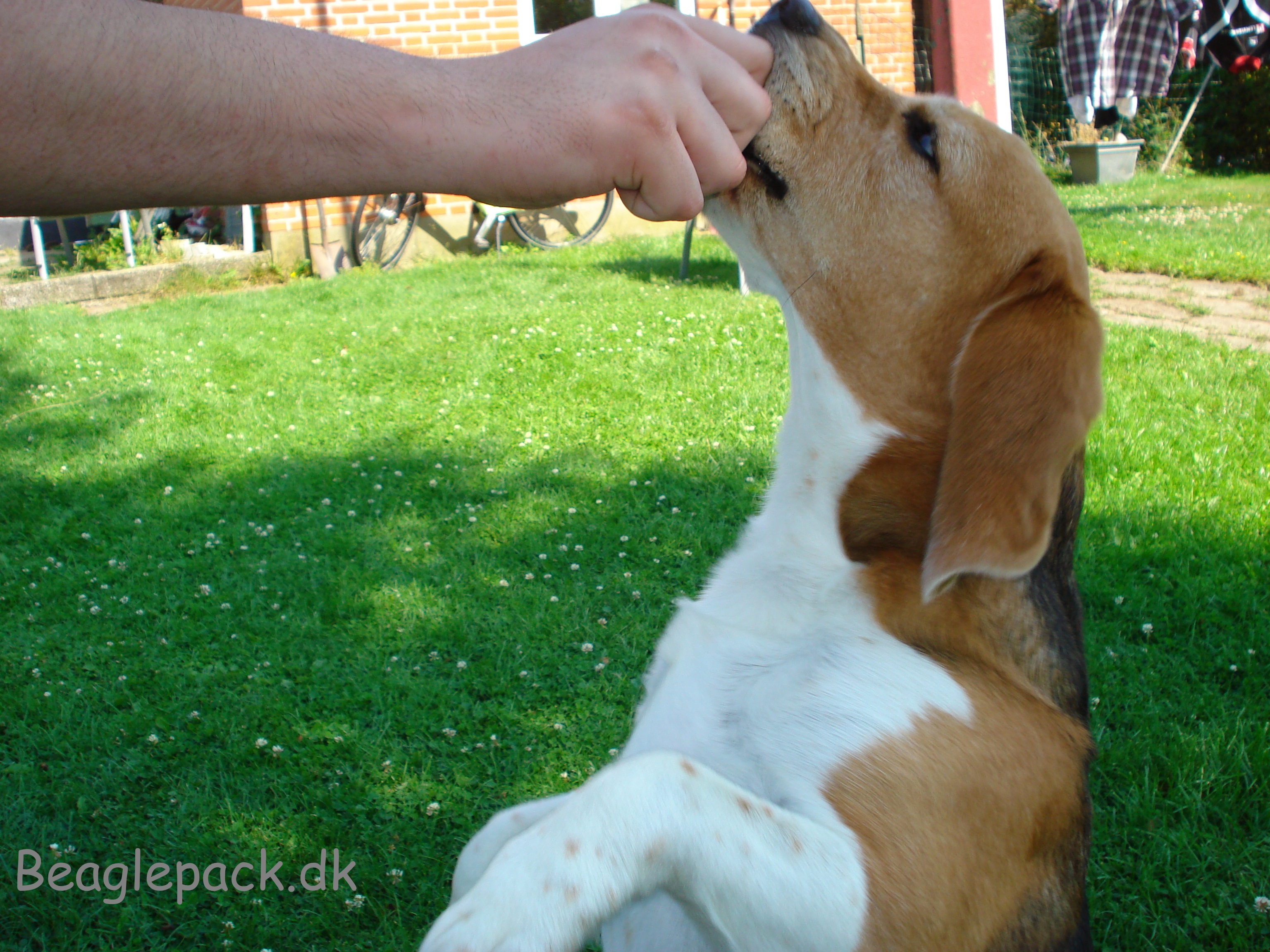 Give me five - Oscar