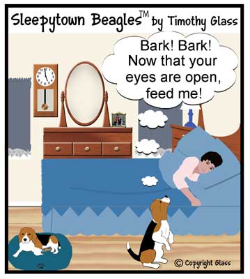 feedmebeagles (sleepytown)