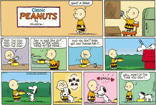 peanutsfeedthedog