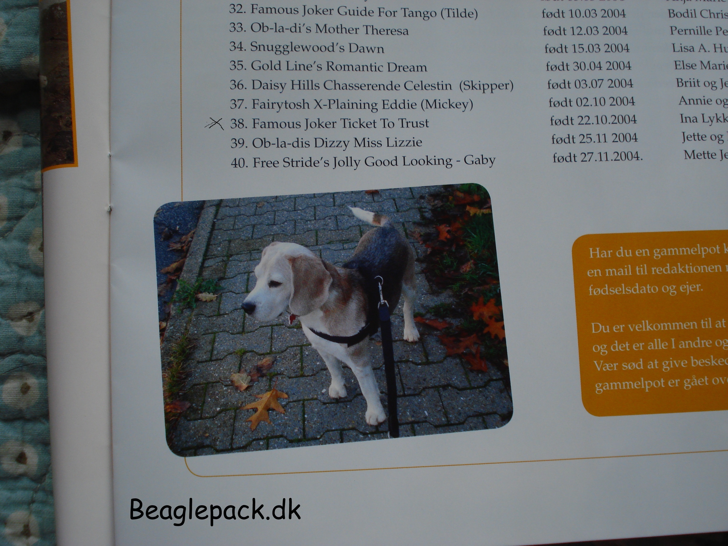 gammelpot liste