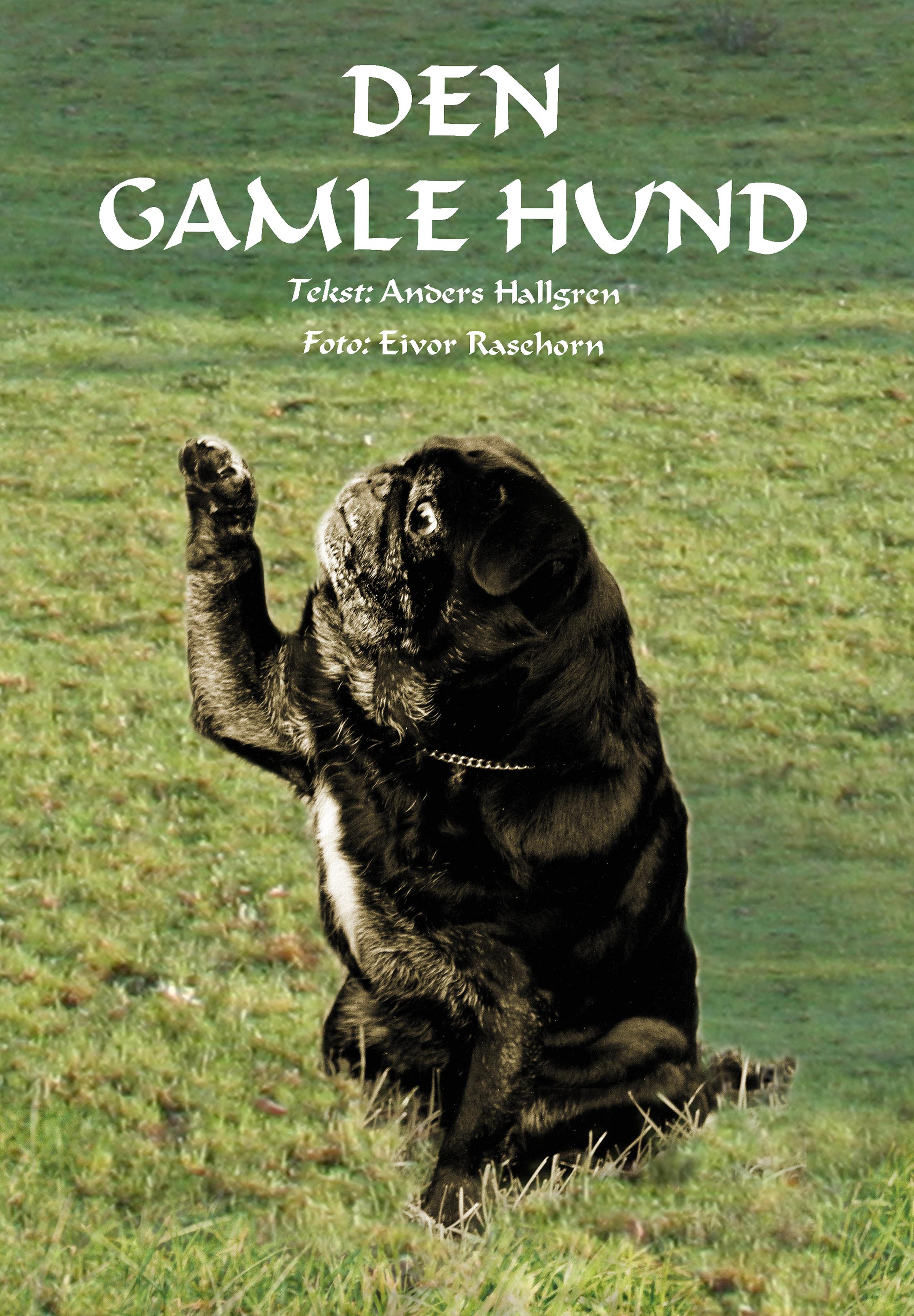 dengamlehund