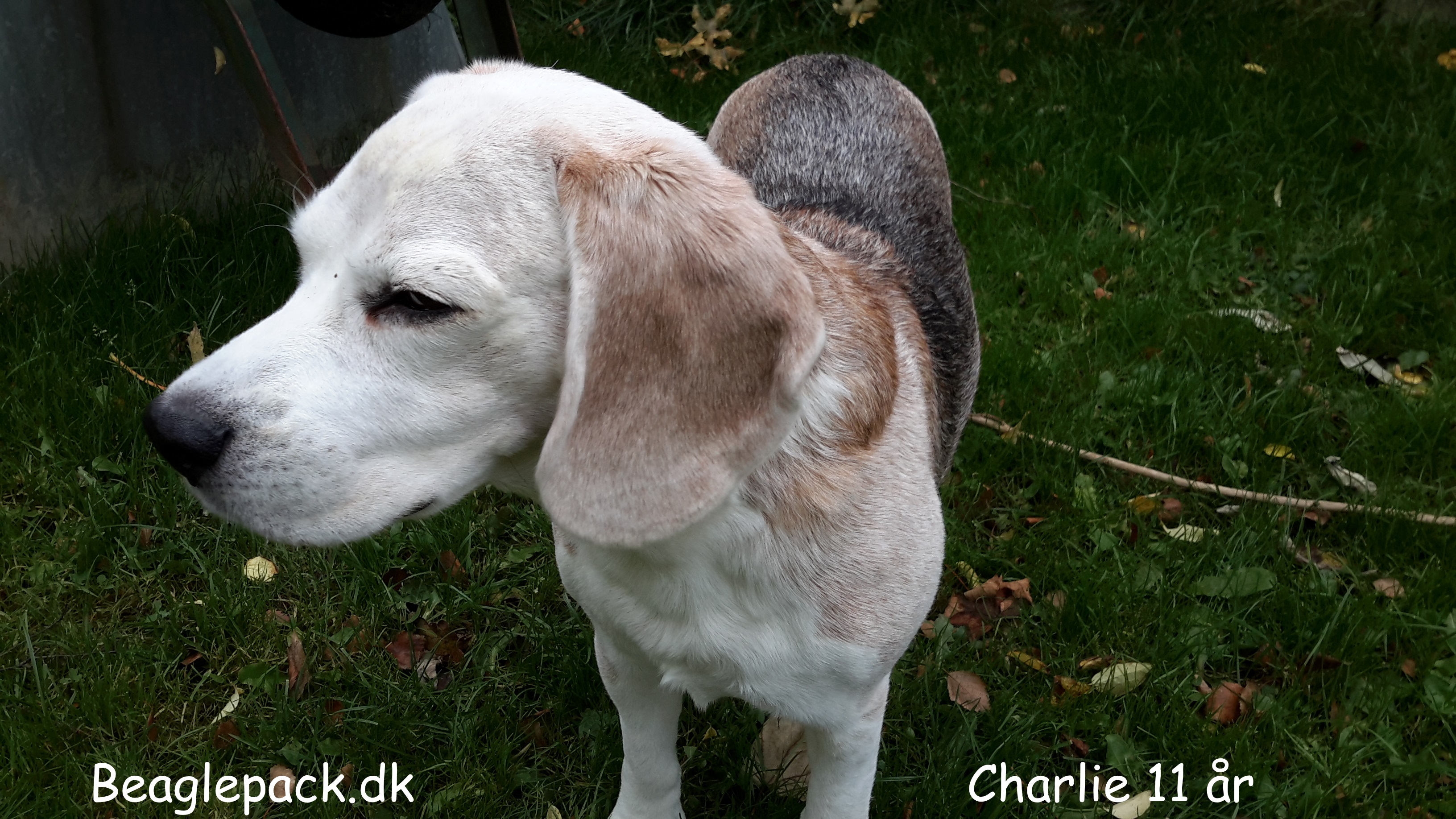 Charlie