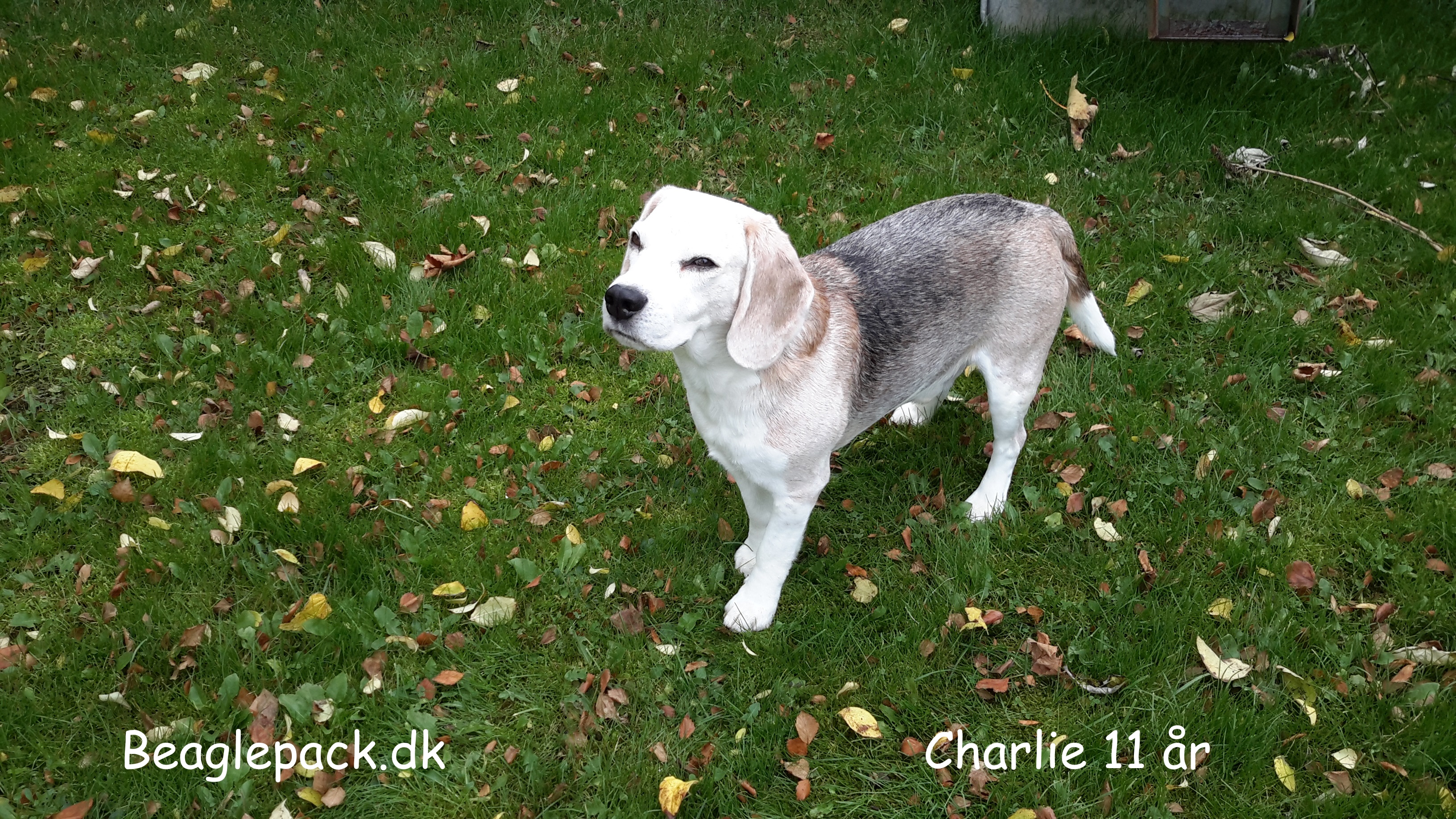 Charlie