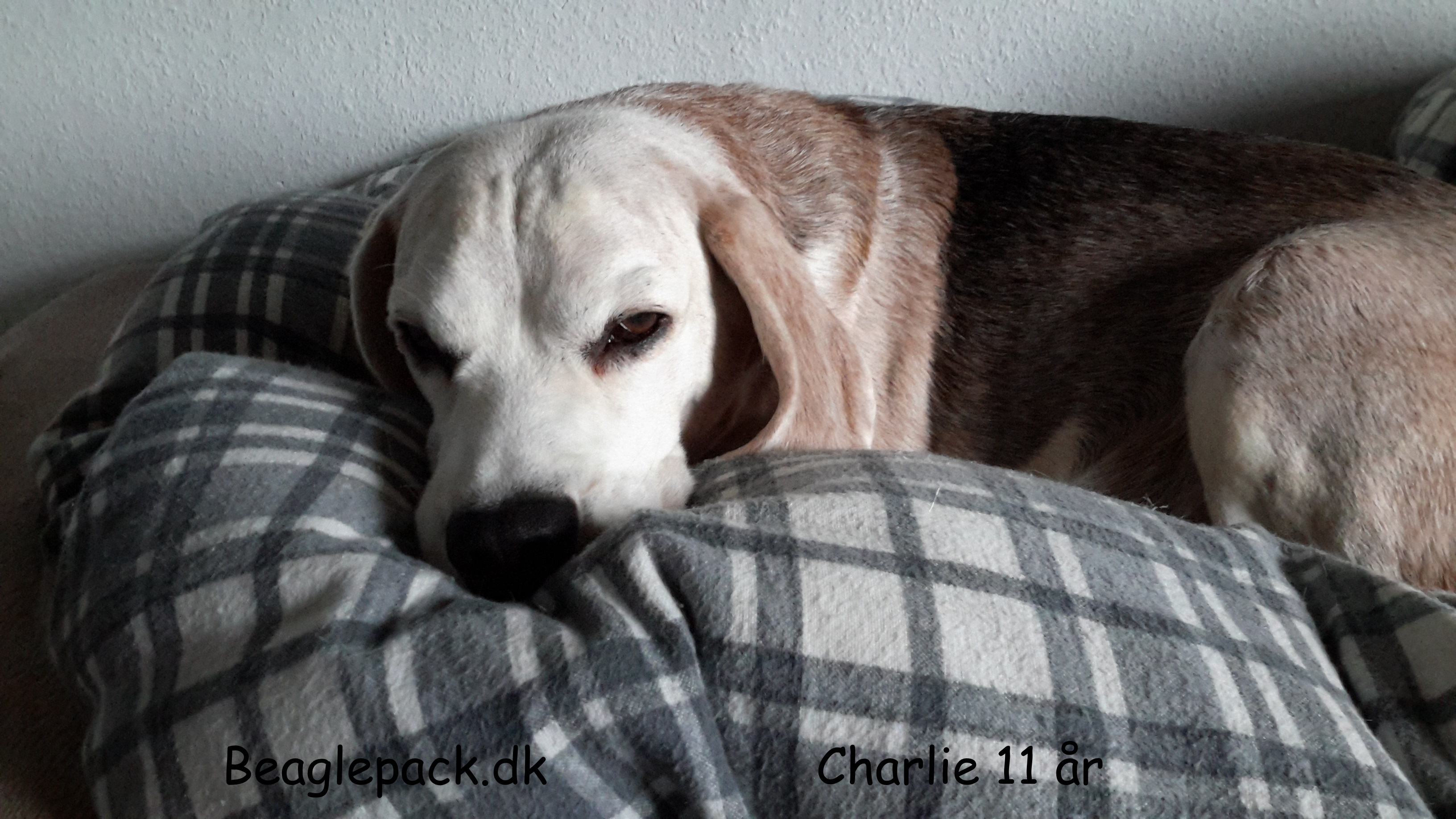 Charlie