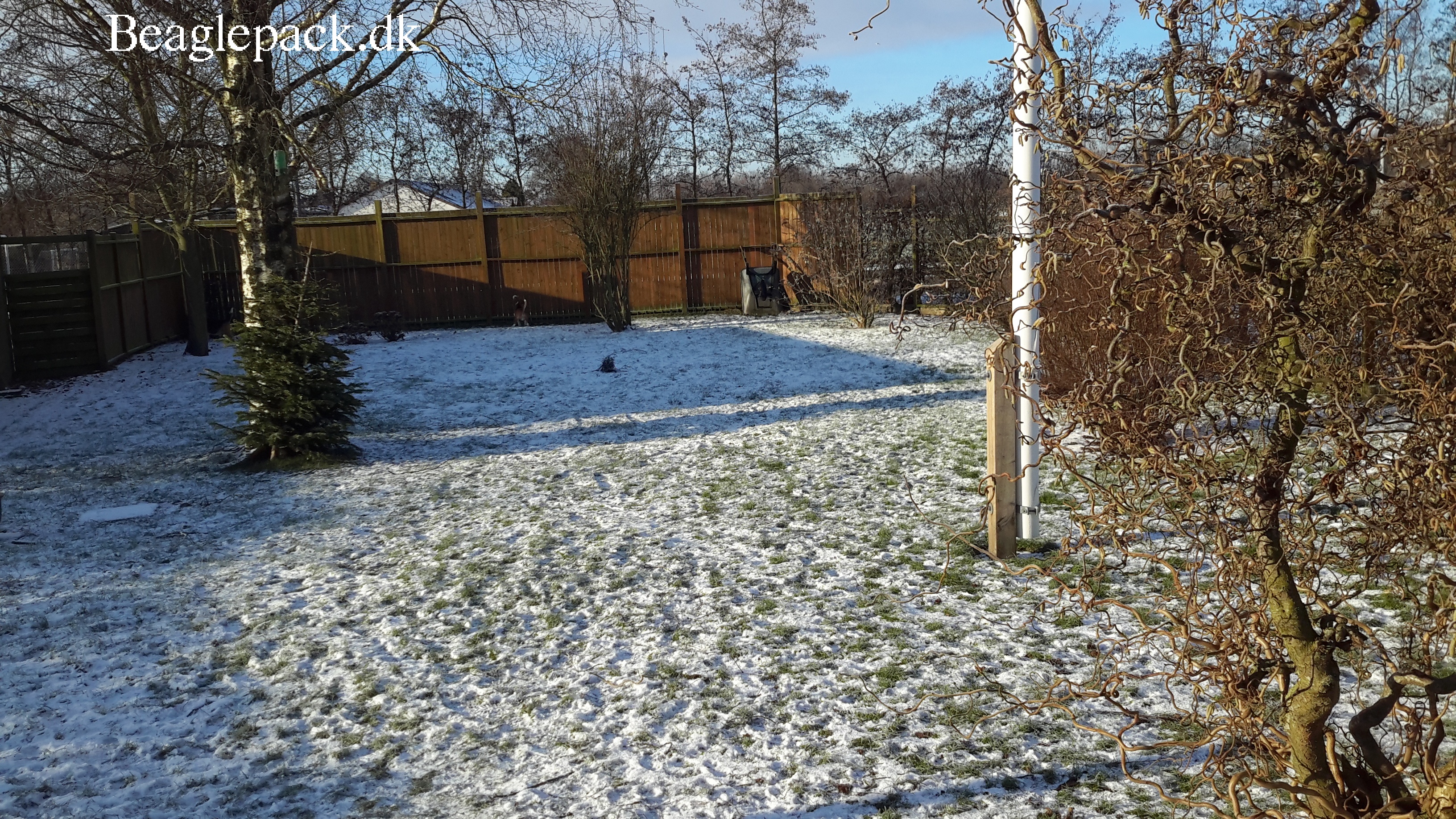 Find Beaglerne